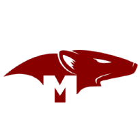 Mongoose ORM